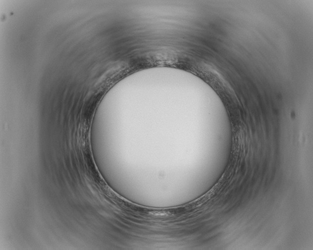 X0000087390218200704200936