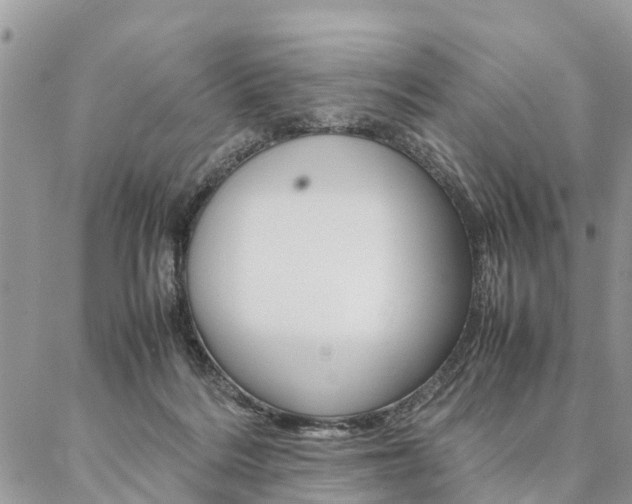 X0000087390220200704200936