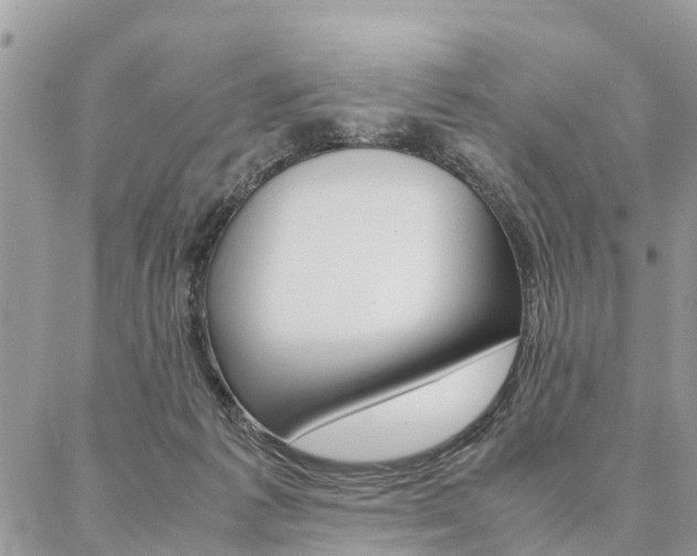 X0000087390221200704200936