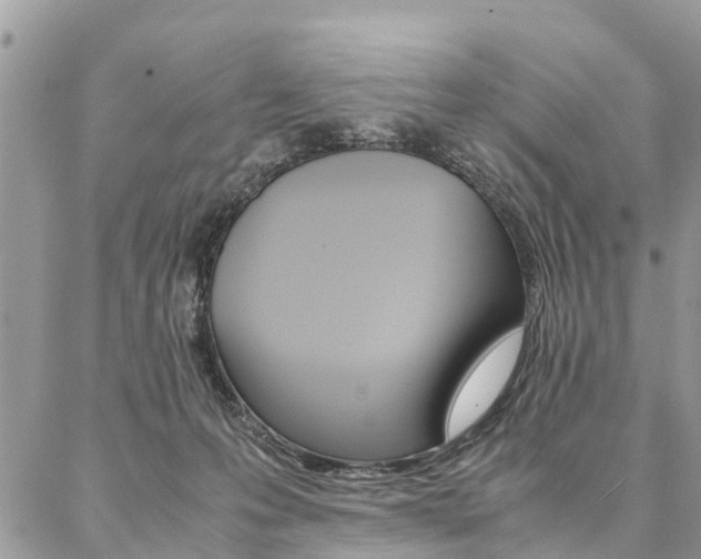 X0000087390223200704200936