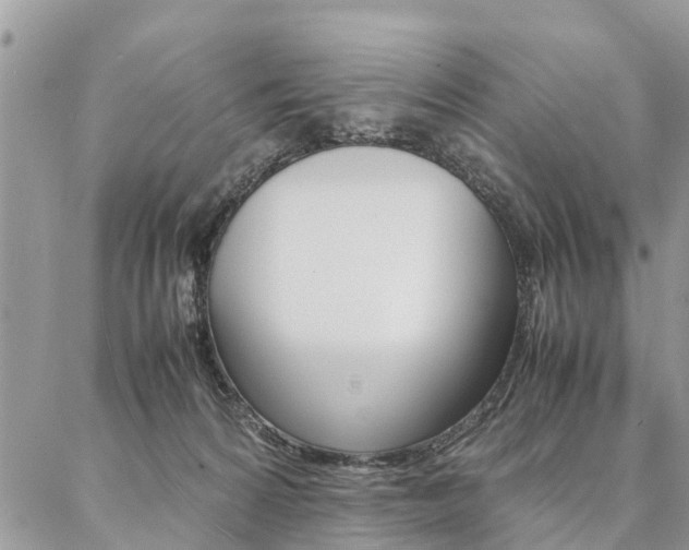 X0000087390224200704200936