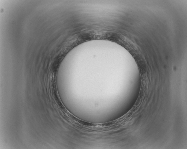 X0000087390225200704200936