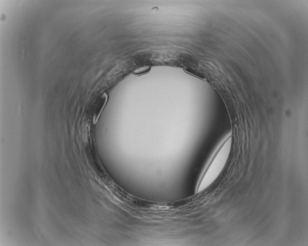 X0000087390227200704200936