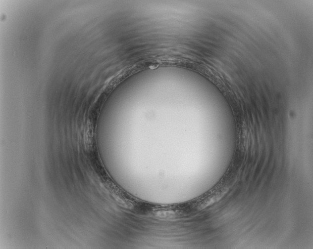 X0000087390228200704200936