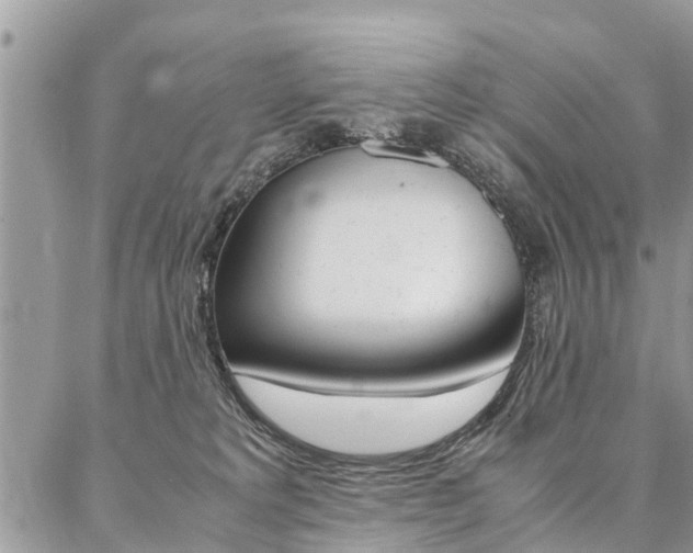 X0000087390229200704200936