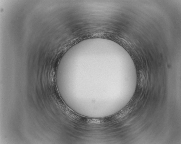 X0000087390230200704200936