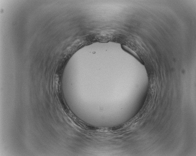 X0000087390231200704200936