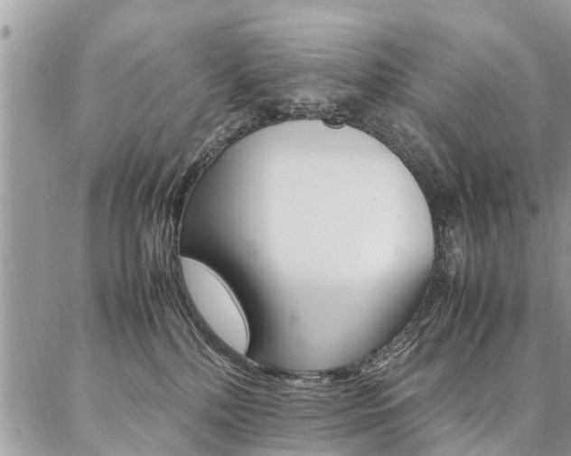 X0000087390232200704200936