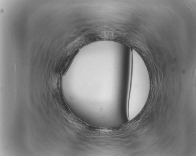 X0000087390233200704200936