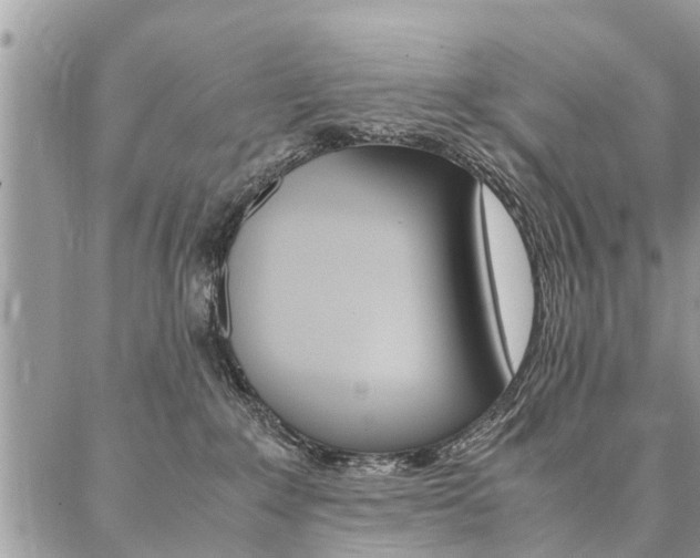 X0000087390235200704200935