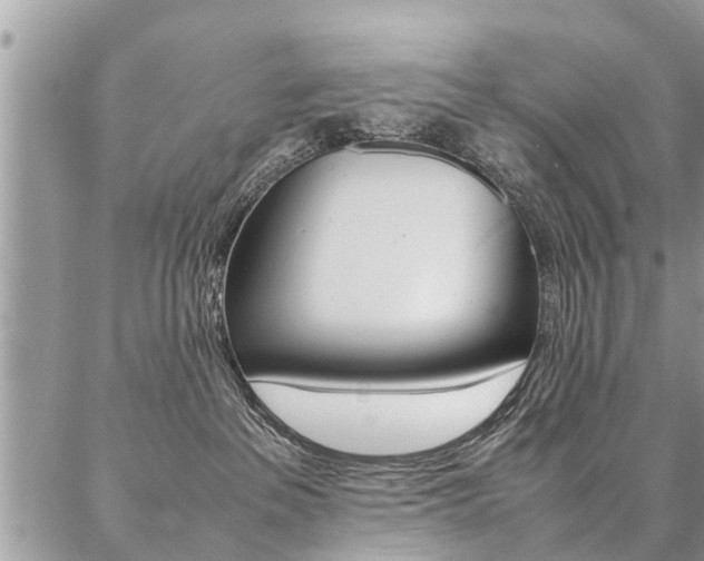 X0000087390237200704200935