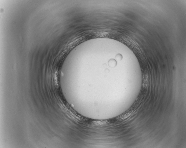 X0000087390238200704200935