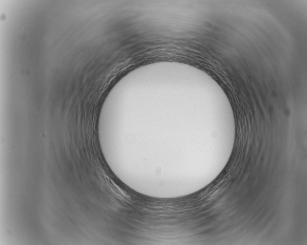 X0000087390239200704200935