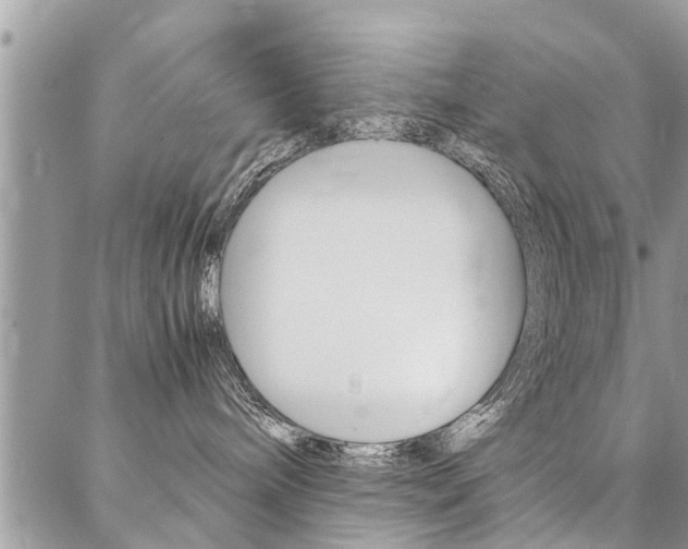 X0000087390240200704200935