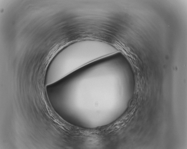 X0000087390241200704200935