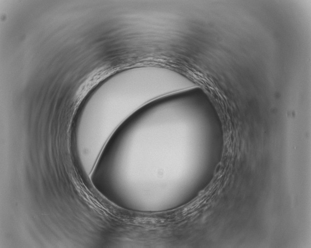 X0000087390242200704200935