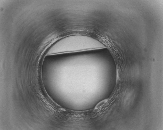 X0000087390243200704200935