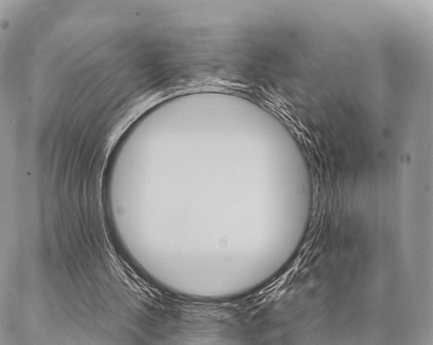 X0000087390244200704200935