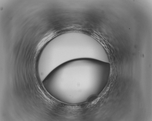 X0000087390245200704200935