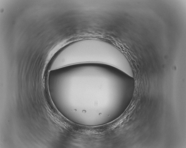 X0000087390246200704200935