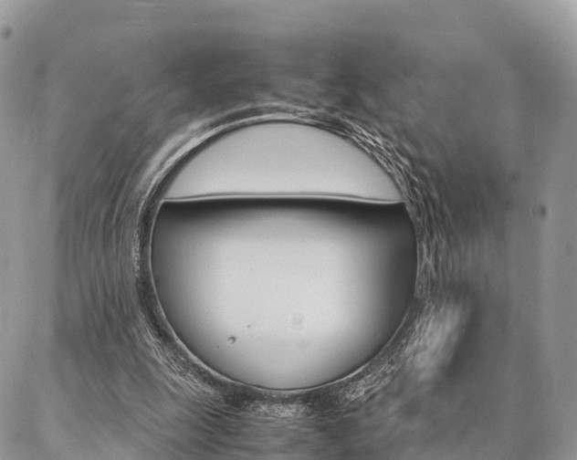 X0000087390247200704200935