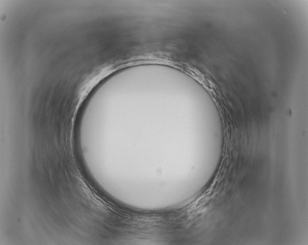 X0000087390248200704200935