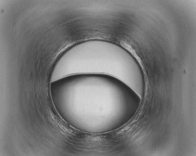 X0000087390249200704200935