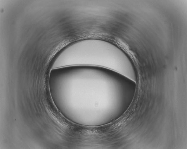 X0000087390250200704200935