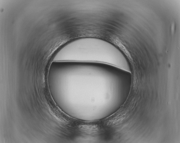 X0000087390251200704200935