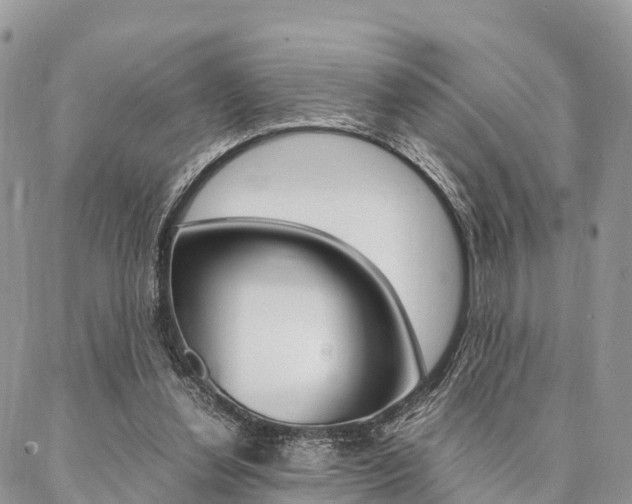 X0000087390252200704200935