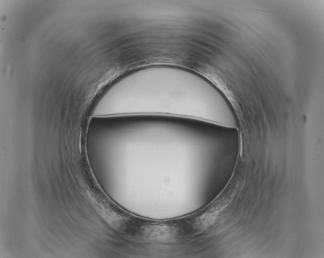 X0000087390253200704200935