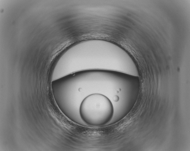 X0000087390254200704200935