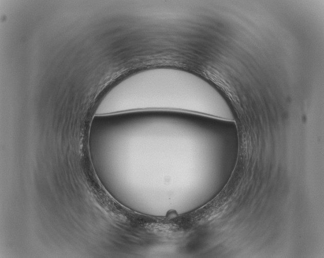 X0000087390255200704200935