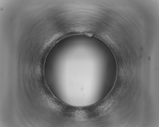 X0000087390256200704200935