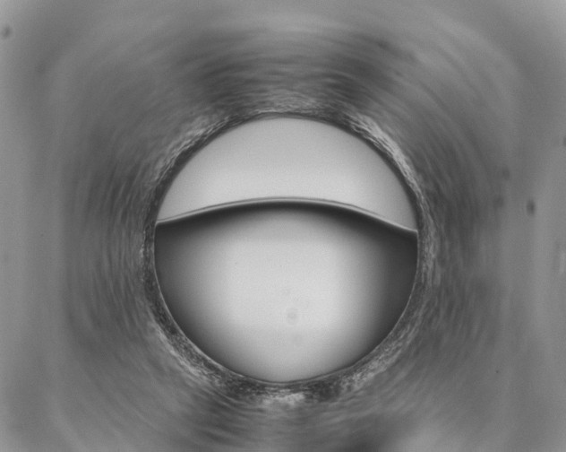 X0000087390257200704200935