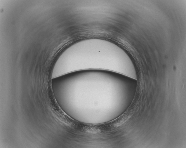 X0000087390258200704200935