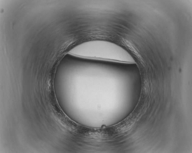 X0000087390259200704200935