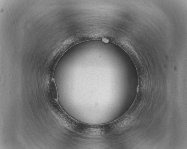 X0000087390260200704200935