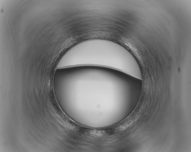 X0000087390261200704200935