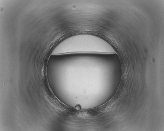 X0000087390262200704200935