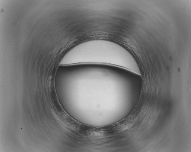 X0000087390263200704200935