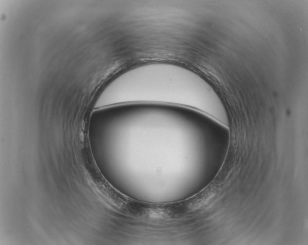 X0000087390264200704200935