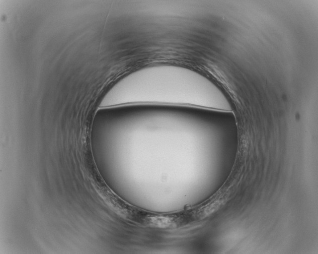 X0000087390265200704200935