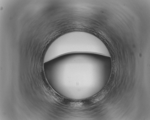 X0000087390266200704200935