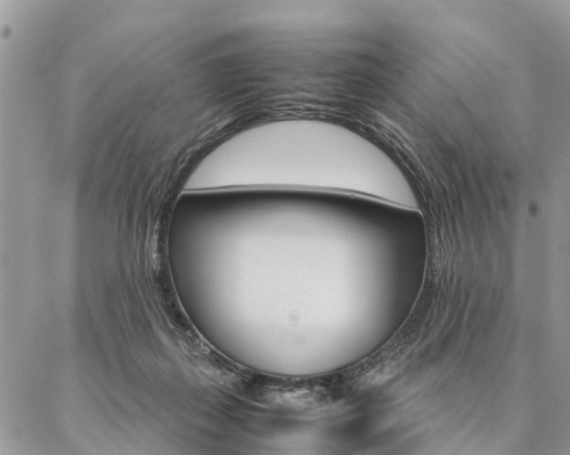 X0000087390267200704200935