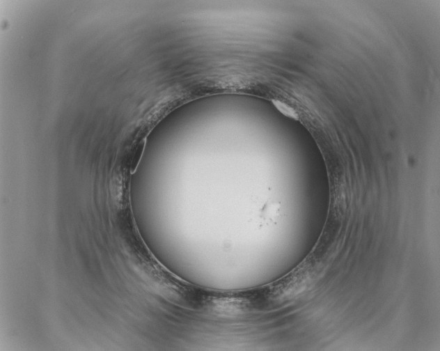 X0000087390268200704200935