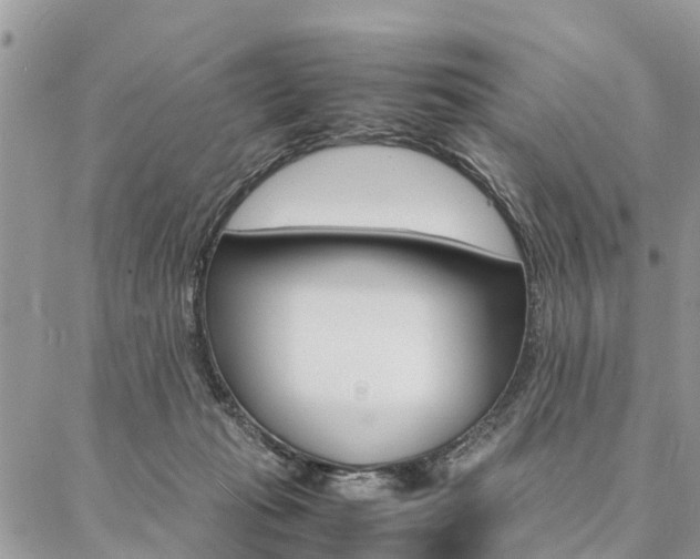 X0000087390269200704200935