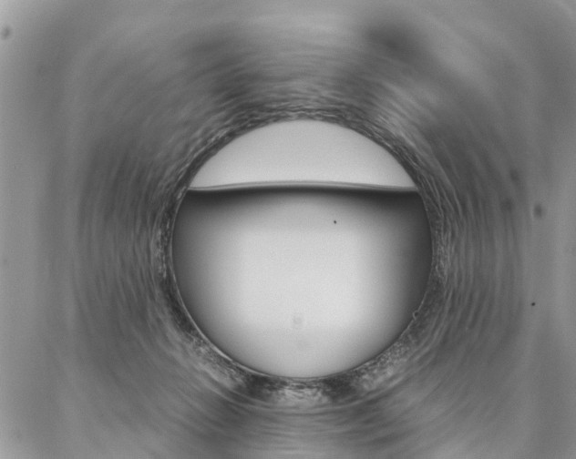 X0000087390270200704200935