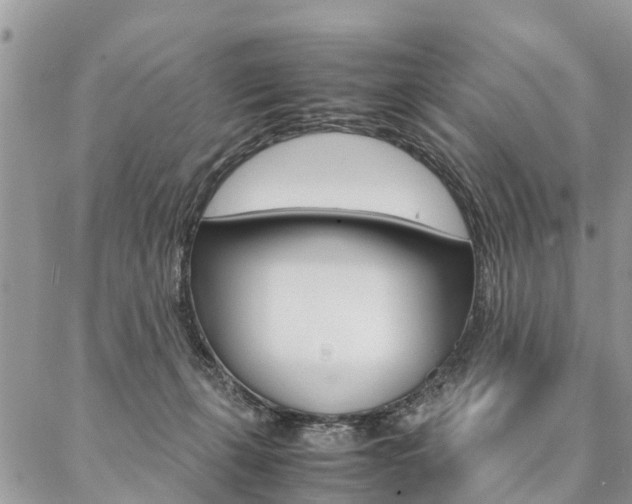 X0000087390271200704200935