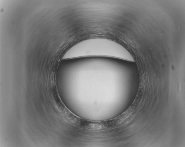 X0000087390272200704200935